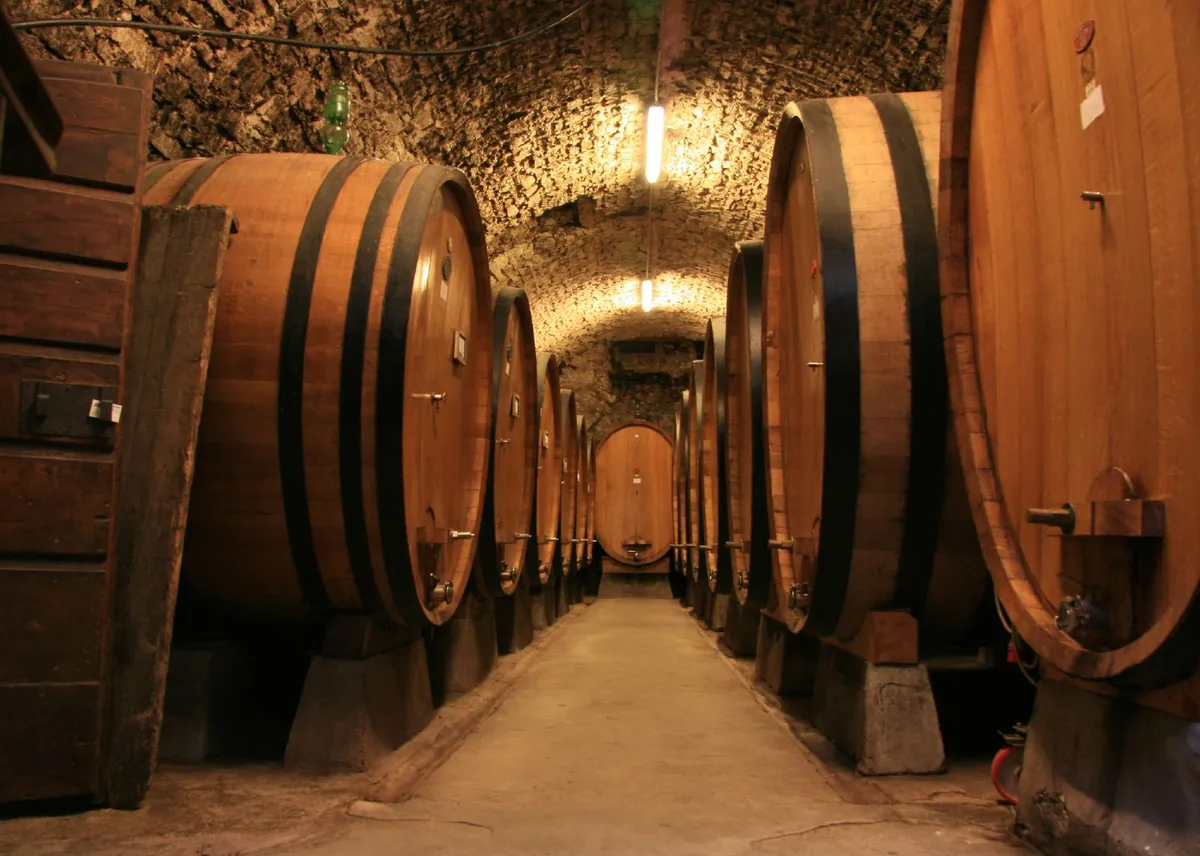 Bodega de Jerez con grandes botas de roble en criaderas y soleras